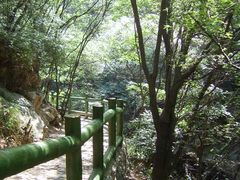 -少华山国家森林公园