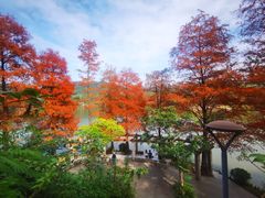 -深圳仙湖植物园