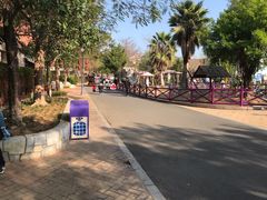 -灵玲国际马戏城