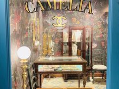 -淮国旧H22·中古店