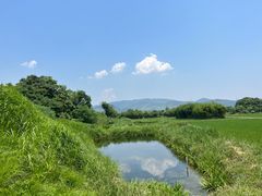 -良渚古城遗址公园