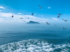 -海驴岛(荣成市)