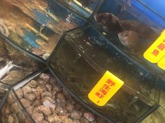 -渔中舟海鲜大排档(普陀沈家门店)