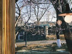 -春风习习