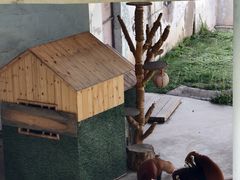 -青藏高原野生动物园