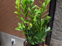 -润泽天·湘味家宴(岳麓山店)