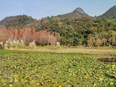 -贵阳市花溪国家城市湿地公园