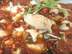 -秦扬居特色菜馆(上王村)