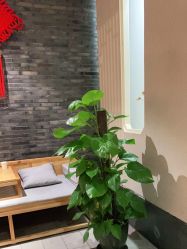 -盘子女人坊古装写真摄影(厦门总店)