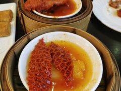萝卜金钱肚-添运来(茶园奥园广场店)