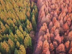 -山王坪喀斯特国家生态公园