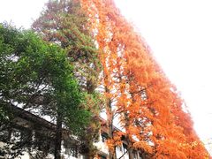 -井冈山风景名胜区
