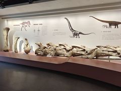 -自贡恐龙博物馆