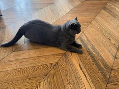 -Me Coffee下午茶艺术空间