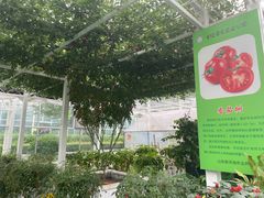 -兰陵国家农业公园