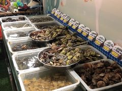 -海合安青岛极地海洋公园