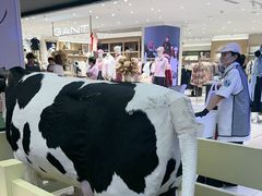 -红星前进面包牛奶公司(君太店)