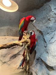 点击看大图 -Zoolung Zoolung动物主题公园(海信广场店)