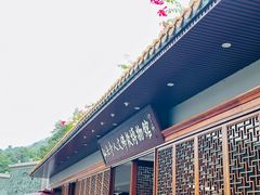 -深圳仙湖植物园