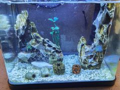 -海底捞火锅(金光华店)