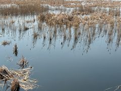 -野鸭湖国家湿地公园