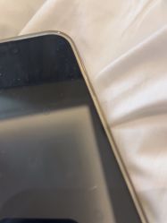 -Zoolung Zoolung动物主题公园(海信广场店)