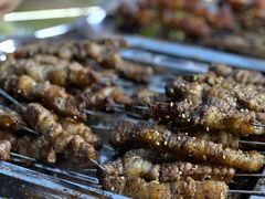 -野火鲜货烧烤(河边小院店)