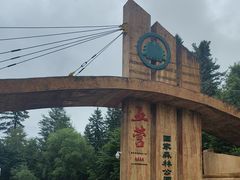 -五营红松林海景区