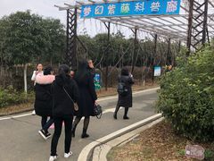 -武汉紫薇都市田园