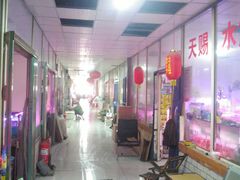 -山东柏宁水族批发广场