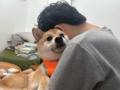 -曼格纳·曼芯馆(杨浦店)