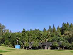 -东平国家森林公园
