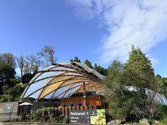 -怀托摩萤火虫洞