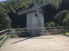 -宁波浙东大竹海景区