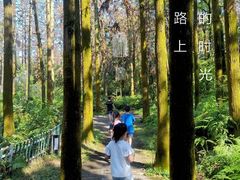景点-象山森林公园