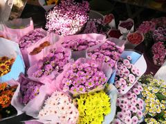 -循礼门鲜花花市(武汉循礼门店)