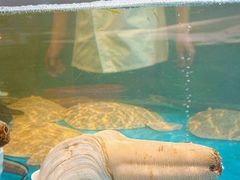 -万盛合(渔人码头店)