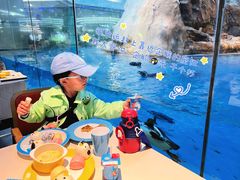 -帝企鹅自助餐厅•儿童岛•真企鹅(长隆企鹅酒店)