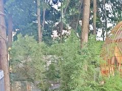 -二荆条·蜀鲜汇城市森林火锅