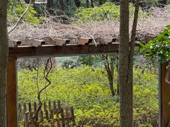 -徐家汇源景区-衡山公园