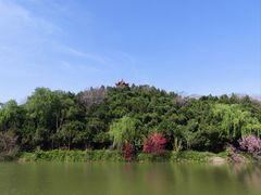 -禹州森林植物园