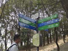 -火炉山森林公园