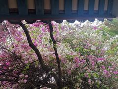 -深圳国际园林花卉博览园