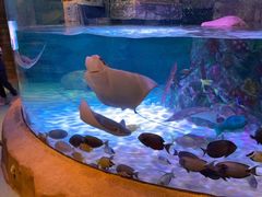 -沈阳海洋探索中心