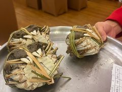 -王宝和酒家(黄浦店)