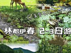 -汤旺河林海奇石景区