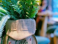 -ZING COFFEE 镜咖啡