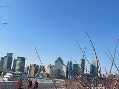 -陆家嘴中心绿地
