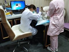 -宠爱国际动物医院·疑难骨科·心肾内科·皮肤科(太阳宫店)