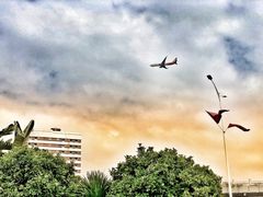 -宝安西湾红树林湿地公园